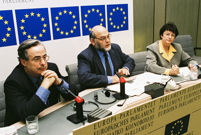 Photo 8 : Press conference in strasbourg