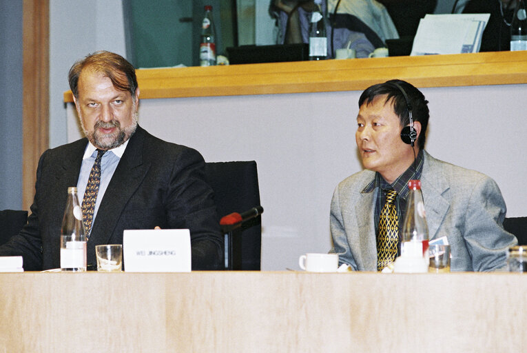 Fotografie 2: AFET Committee Meeting with Sakharov Prize Winner 1996