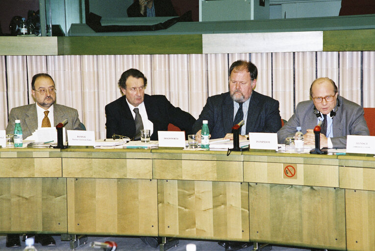 STOA meeting at the EP in Strasbourg.