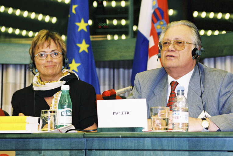 Fotogrāfija 2: Doris PACK and Vlatko PAVLETIC, Speaker of the Croatian Parliament attend a meeting with the delegation for relations with the Republics of former Yugoslavia in Strasbourg in July 1996.