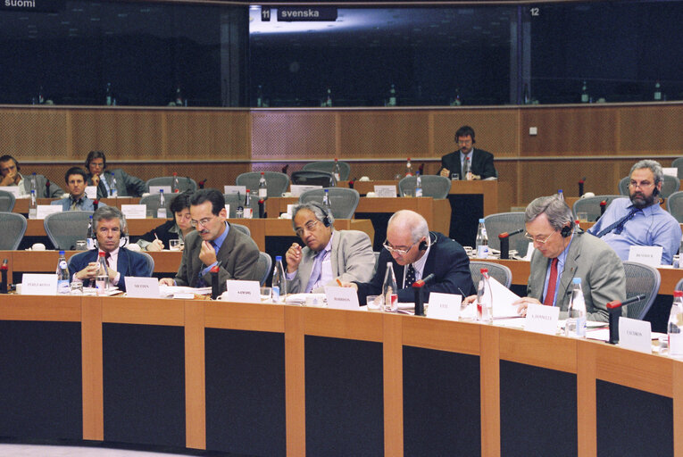 Fotografija 3: Committee on Economic and Monetary Affairs meeting on the adjustment mechanism in cases of asymmetric shocks