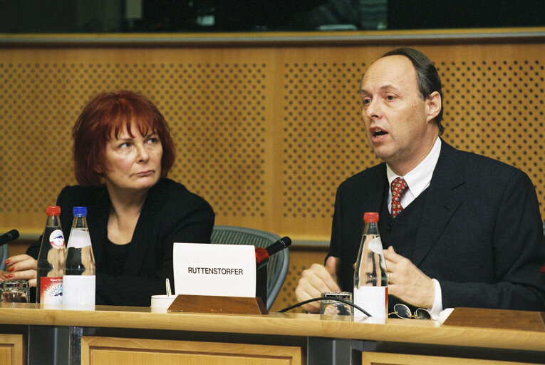 Fotografie 3: Monetary Affairs Subcommittee meeting at the EP in Brussels