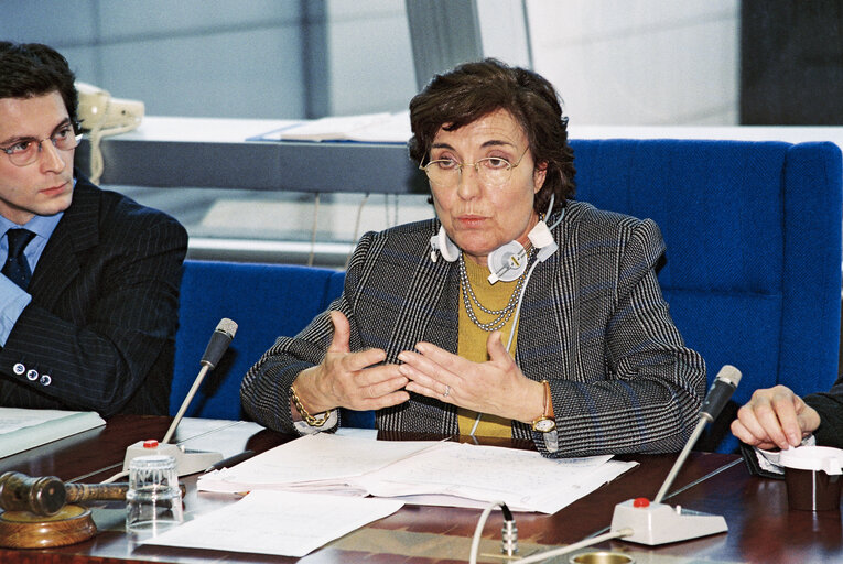 Fotografia 2: Meeting at the European Parliament in Strasbourg