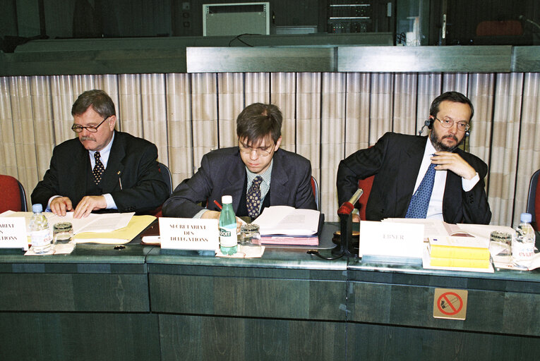 Meeting at the European Parliament in Strasbourg