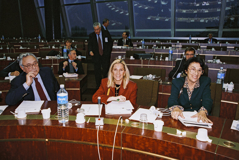 Fotografi 15: Meeting at the European Parliament