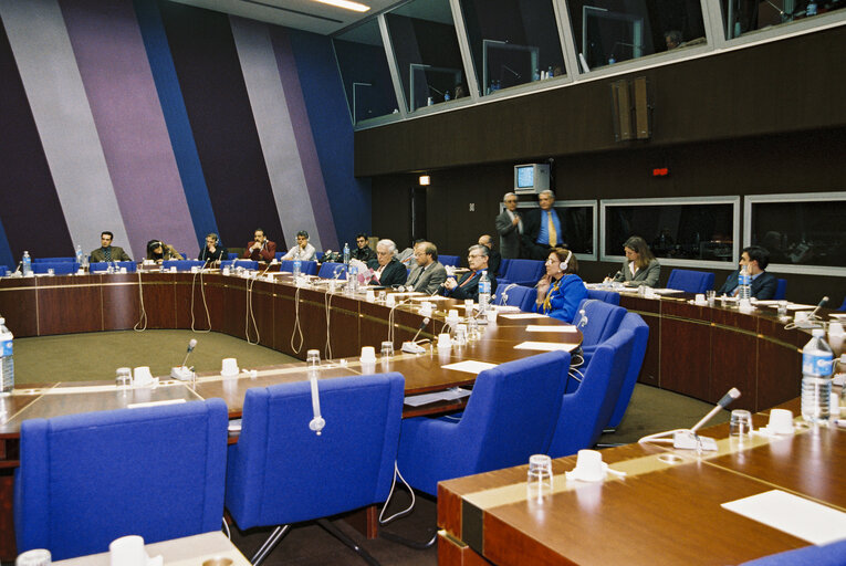 Meeting at the European Parliament