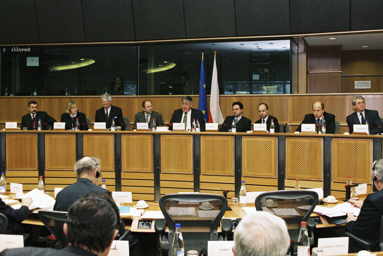 Fotografia 3: Joint Parliamentary Committee meeting EU - Czech Republic