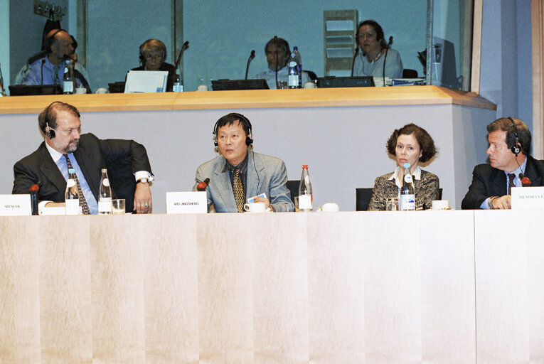 AFET Committee Meeting with Sakharov Prize Winner 1996