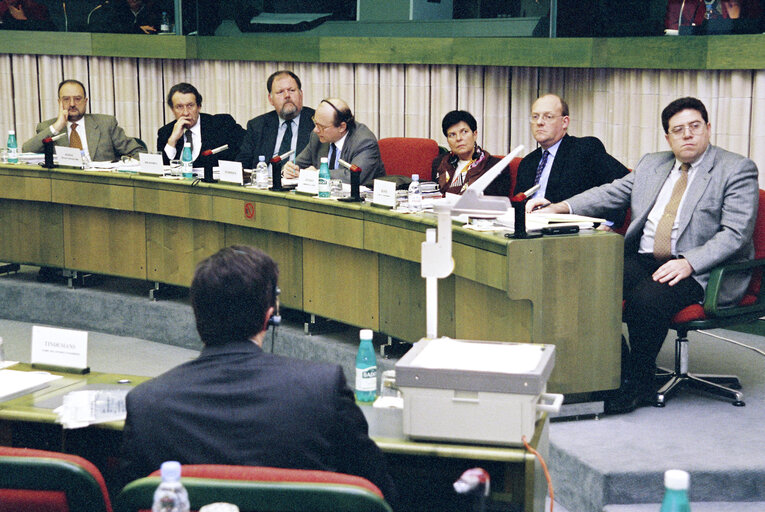 Fotografie 4: STOA meeting at the EP in Strasbourg.