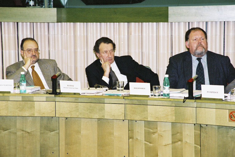 Fotografie 5: STOA meeting at the EP in Strasbourg.