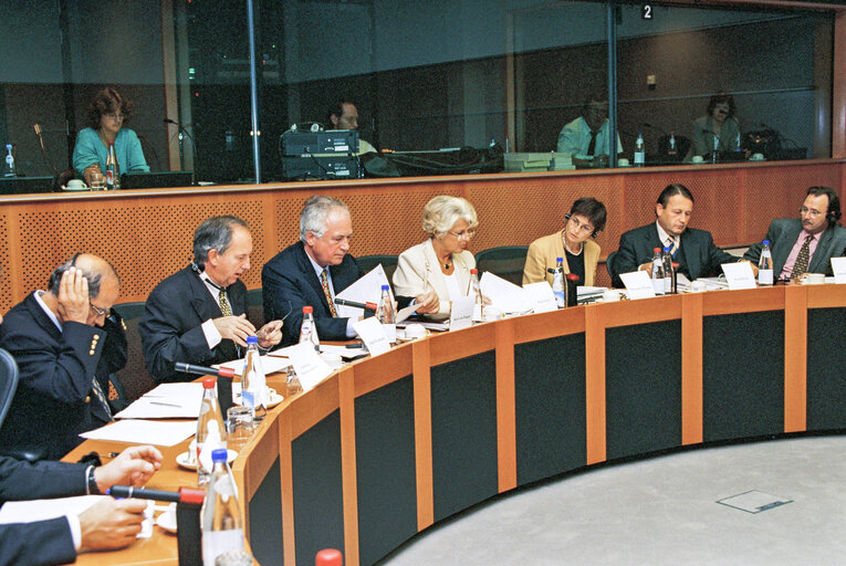 Fotografija 7: Committee on Economic and Monetary Affairs roundtable