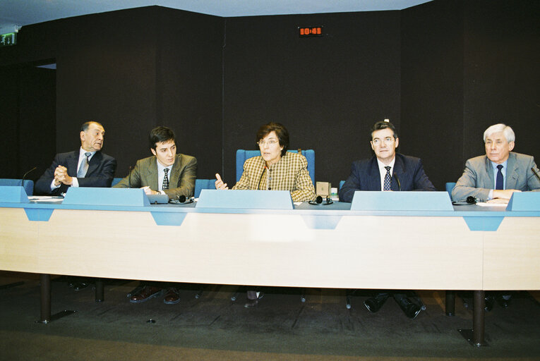 Fotografie 22: Meeting at the European Parliament