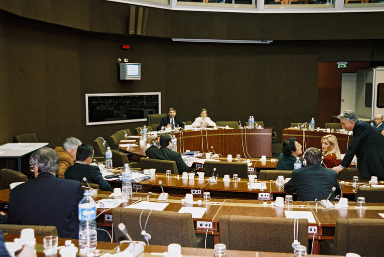 Fotografi 13: Meeting at the European Parliament