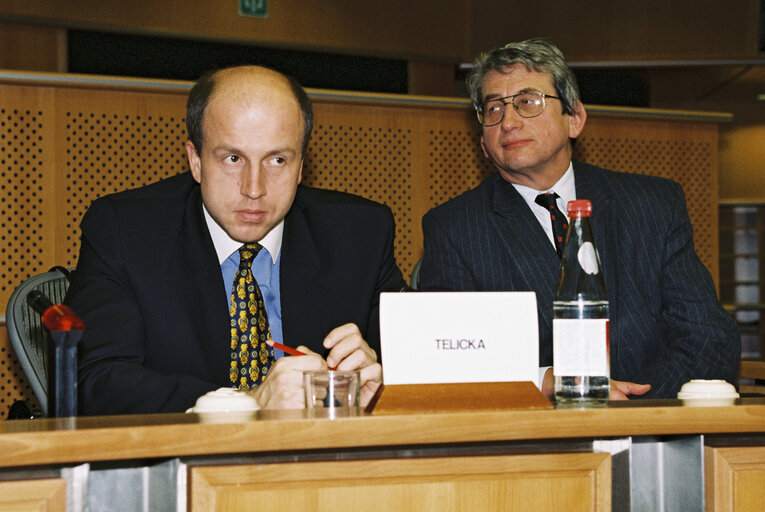 Fotografija 4: Joint Parliamentary Committee meeting EU - Czech Republic