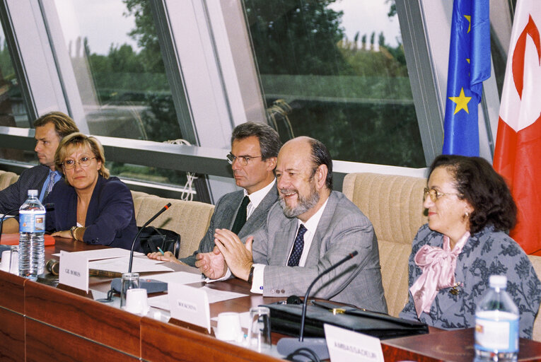 Fotografia 4: Ninth EP-Tunisia Interparliamentary Meeting - Topics include will include political dialogue, the conditions for peace, security and regional development, cultural dialogue, Islamic fundamentalism and partnership in the social field.