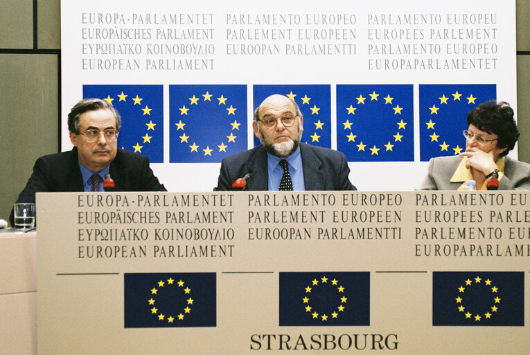 Fotagrafa 6: Press conference in strasbourg