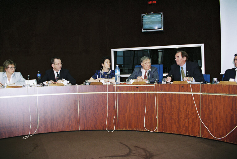 Meeting with the Commissioner for Social Affairs