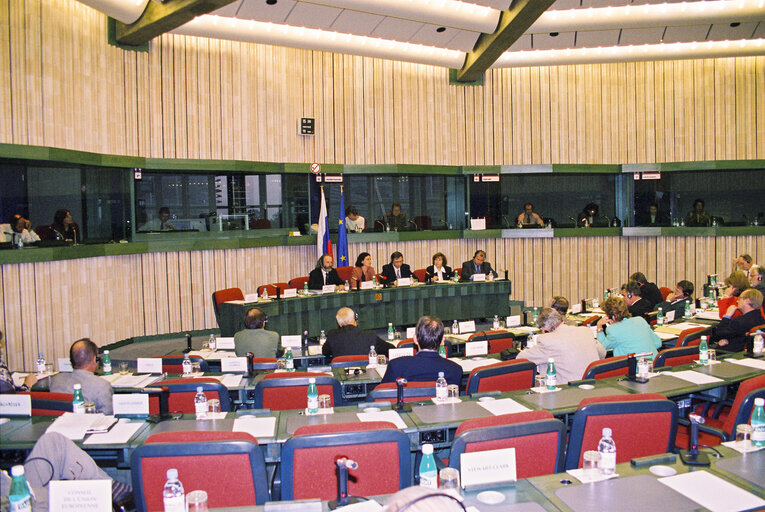 Fotó 13: Opening session of the EU-Russia Parliamentary Cooperation Committee meeting