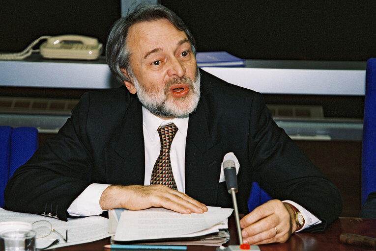 Meeting at the European Parliament