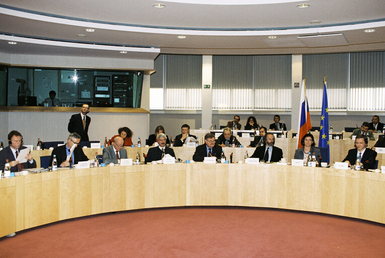 EP-Russia Interparliamentary meeting with Vice President and Chairman of the State Duma