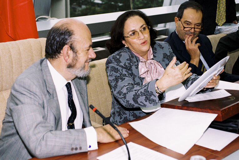 Fotografia 5: Ninth EP-Tunisia Interparliamentary Meeting - Topics include will include political dialogue, the conditions for peace, security and regional development, cultural dialogue, Islamic fundamentalism and partnership in the social field.