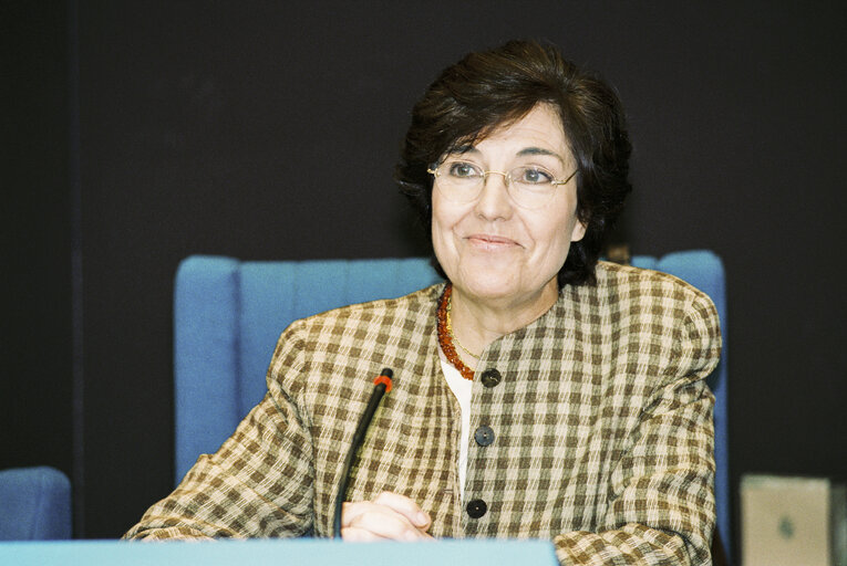 Fotografie 20: Meeting at the European Parliament