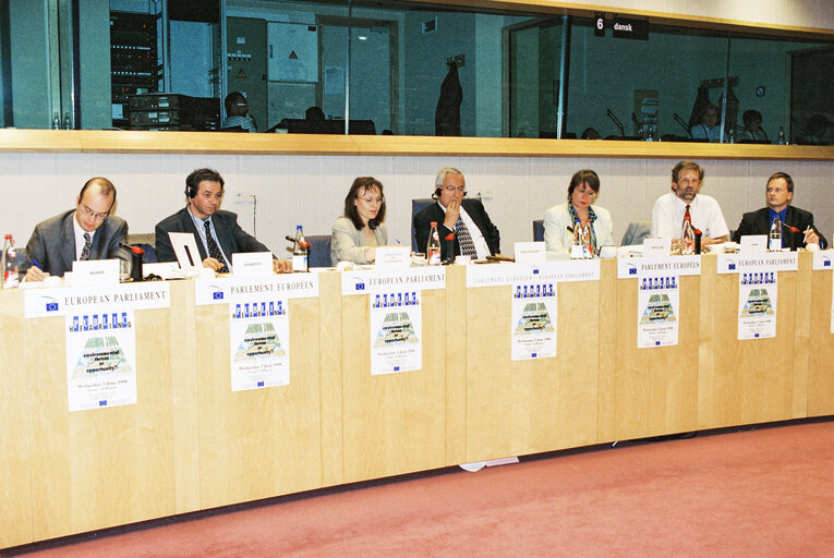 Foto 6: Public Hearing -  Agenda 2000: Environmental Threat or Opportunity ?