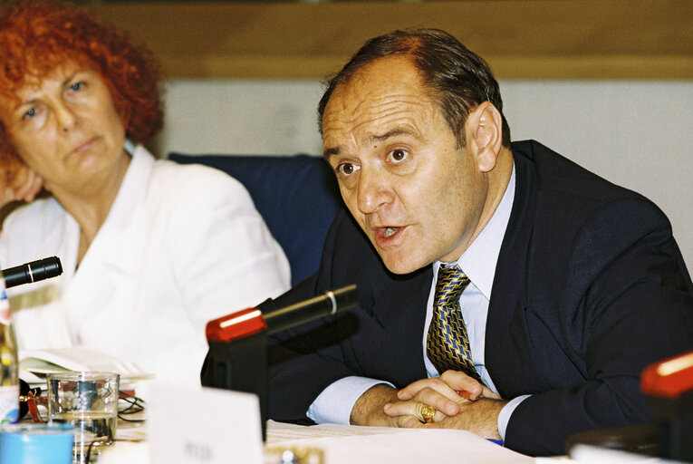 Yves-Thibault de SILGUY, European Commissioner addresses the Subcommittee on Monetary Affairs in July 1996.