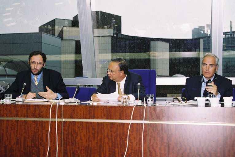 Zdjęcie 3: Meeting at the European Parliament of Strasbourg