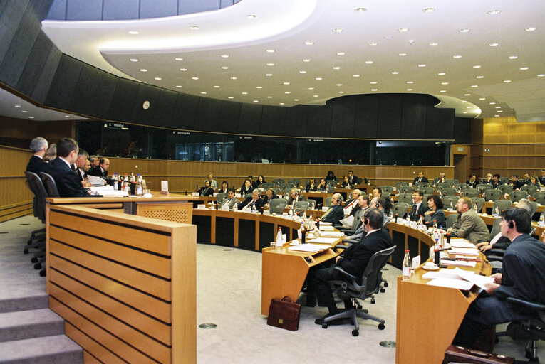 Foto 5: Joint Parliamentary Committee meeting EU - Czech Republic