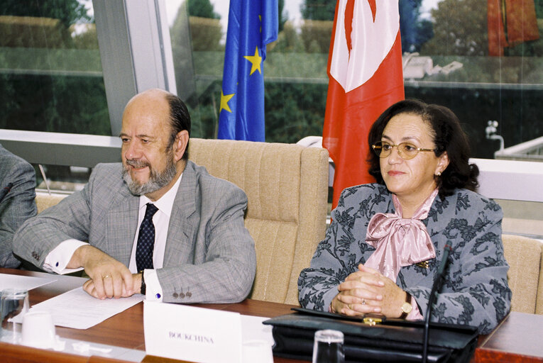 Fotografia 7: Ninth EP-Tunisia Interparliamentary Meeting - Topics include will include political dialogue, the conditions for peace, security and regional development, cultural dialogue, Islamic fundamentalism and partnership in the social field.