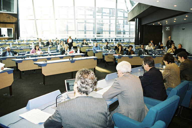 Fotografie 10: Meeting at the European Parliament