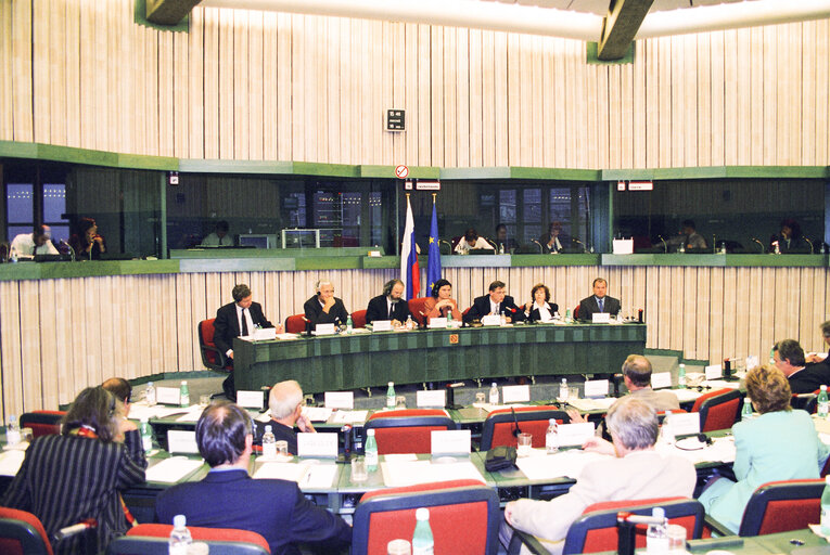 Foto 12: Opening session of the EU-Russia Parliamentary Cooperation Committee meeting