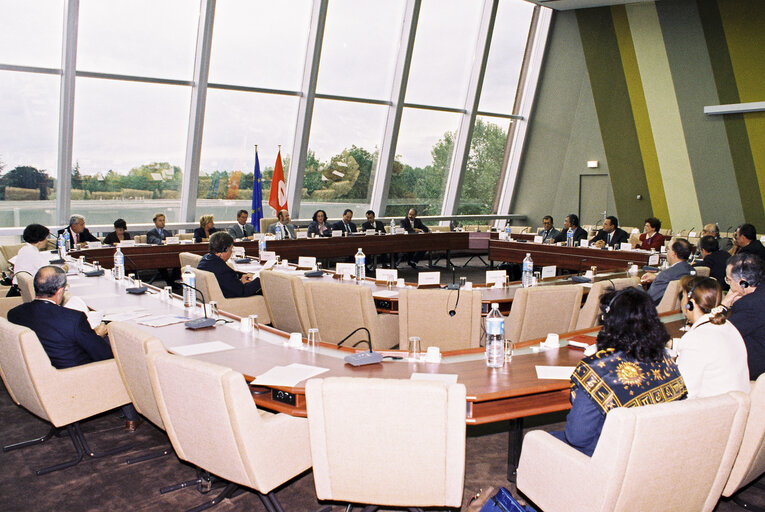 Fotografia 8: Ninth EP-Tunisia Interparliamentary Meeting - Topics include will include political dialogue, the conditions for peace, security and regional development, cultural dialogue, Islamic fundamentalism and partnership in the social field.