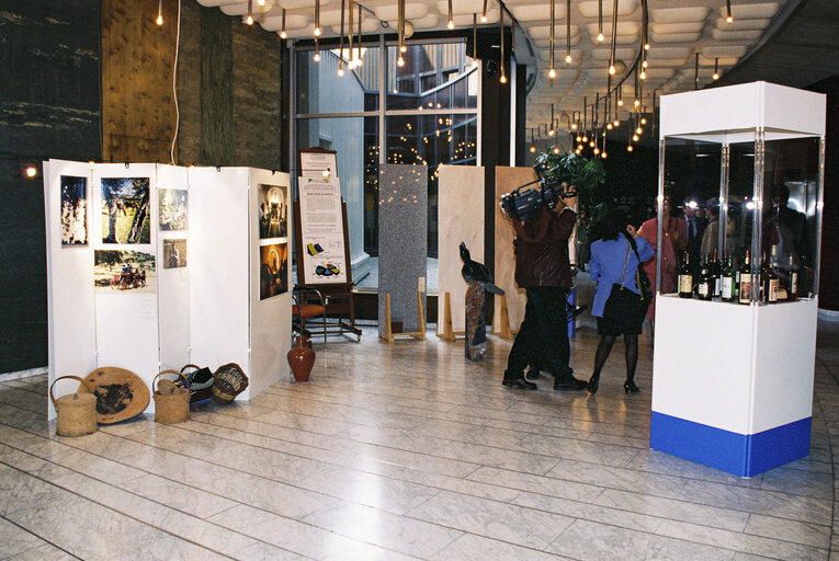 Fotagrafa 12: Exhibition in Strasbourg on the Portuguese region of Alentejo