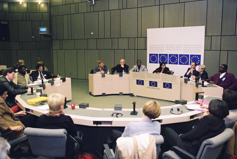 Fotografija 6: Press conference at the EP in Strasbourg