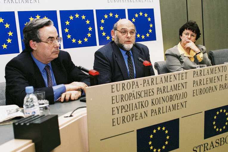 Fotagrafa 9: Press conference in strasbourg