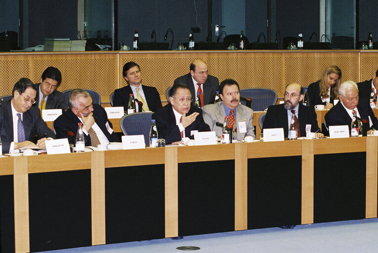 Joint Parliamentary Committee meeting EU - Mexico at the EP in Brussels