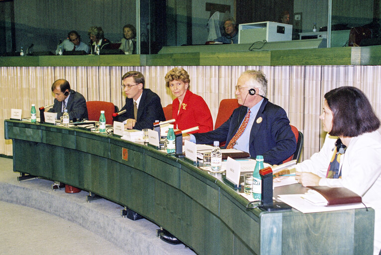 Foto 21: Opening session of the EU-Russia Parliamentary Cooperation Committee meeting