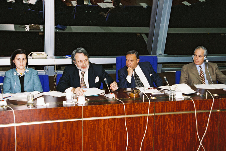 Fotografie 5: Meeting at the European Parliament