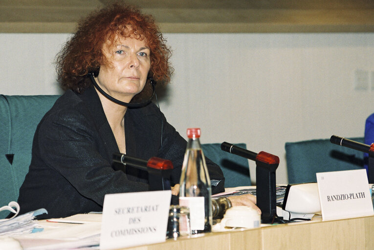 Zdjęcie 3: The MEP Christa RANDZIO-PLATH during a meeting in Strasbourg in June 1996.