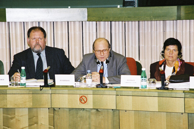 STOA meeting at the EP in Strasbourg.