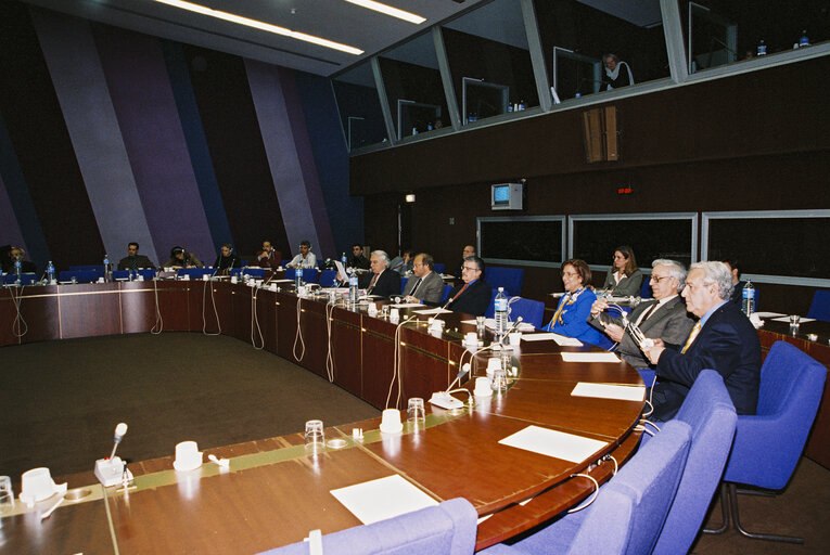 Fotografi 4: Meeting at the European Parliament