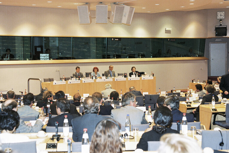 Fotografija 13: Monetary Affairs Subcommittee meeting - Discussion with European Commissioner in charge of Economic and Financial Affairs