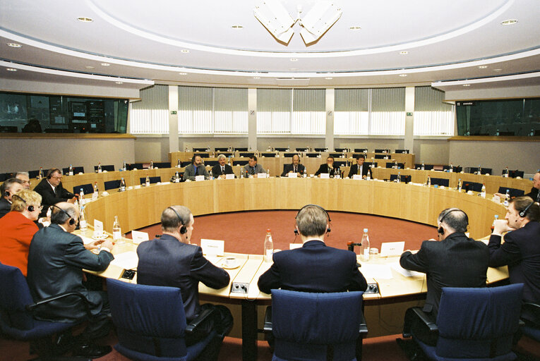 Photo 6: EP-Russia Interparliamentary meeting with Vice President and Chairman of the State Duma