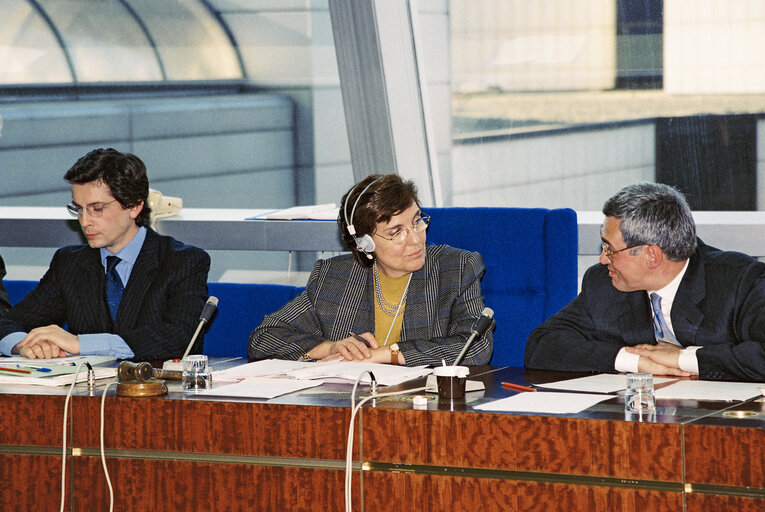 Fotografia 3: Meeting at the European Parliament in Strasbourg