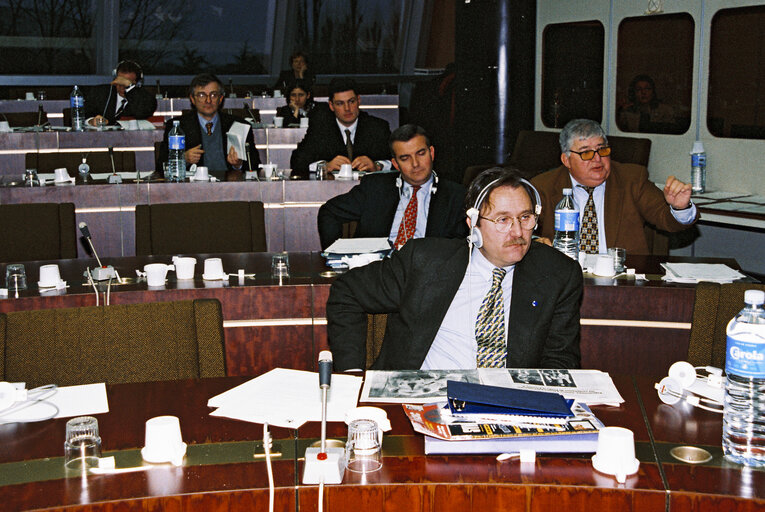 Fotografie 3: Meeting at the European Parliament