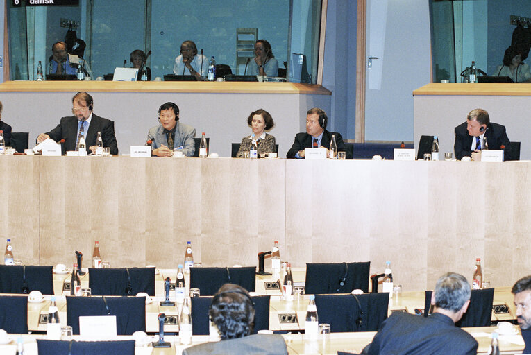 Valokuva 6: AFET Committee Meeting with Sakharov Prize Winner 1996