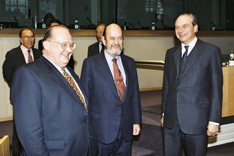 Photo 26 : Meeting in the European Parliament at Brussels