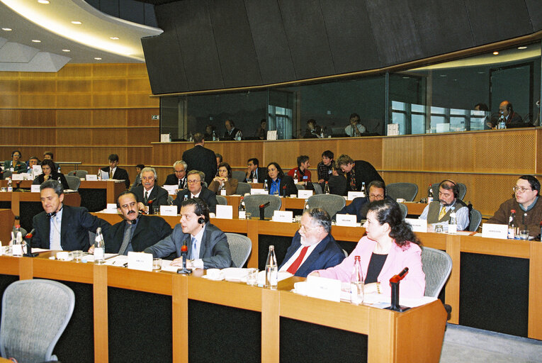 Foto 3: REGI Committee Meeting:  Urban Policy: Guidelines for a European Debate